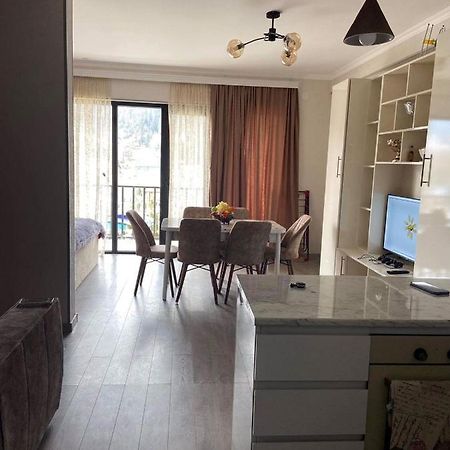 Vitali Apartment Bordzjomi Buitenkant foto