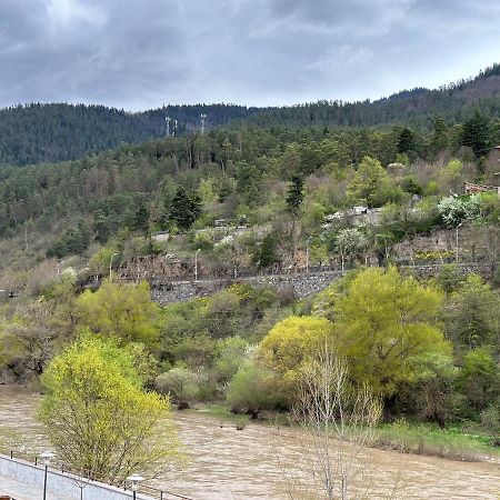 Vitali Apartment Bordzjomi Buitenkant foto