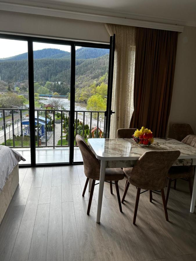 Vitali Apartment Bordzjomi Buitenkant foto