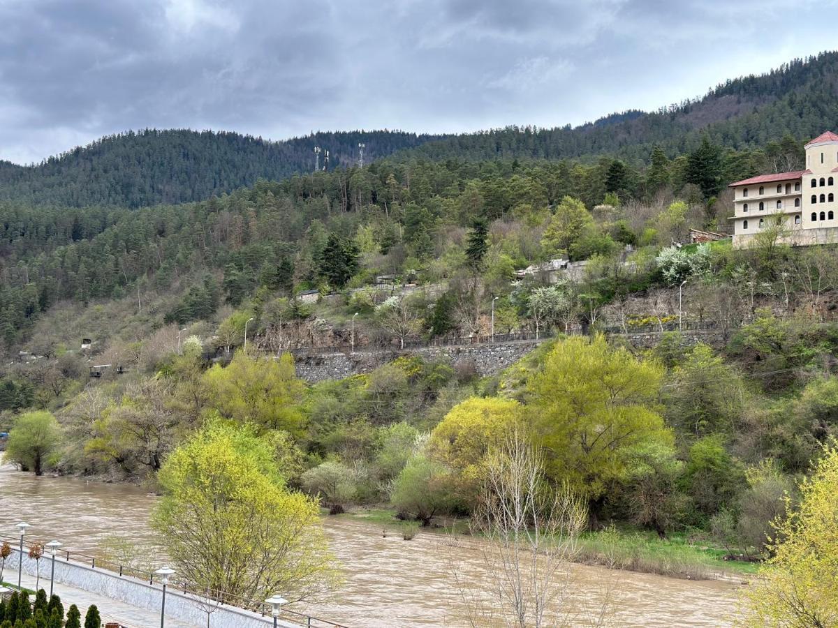 Vitali Apartment Bordzjomi Buitenkant foto